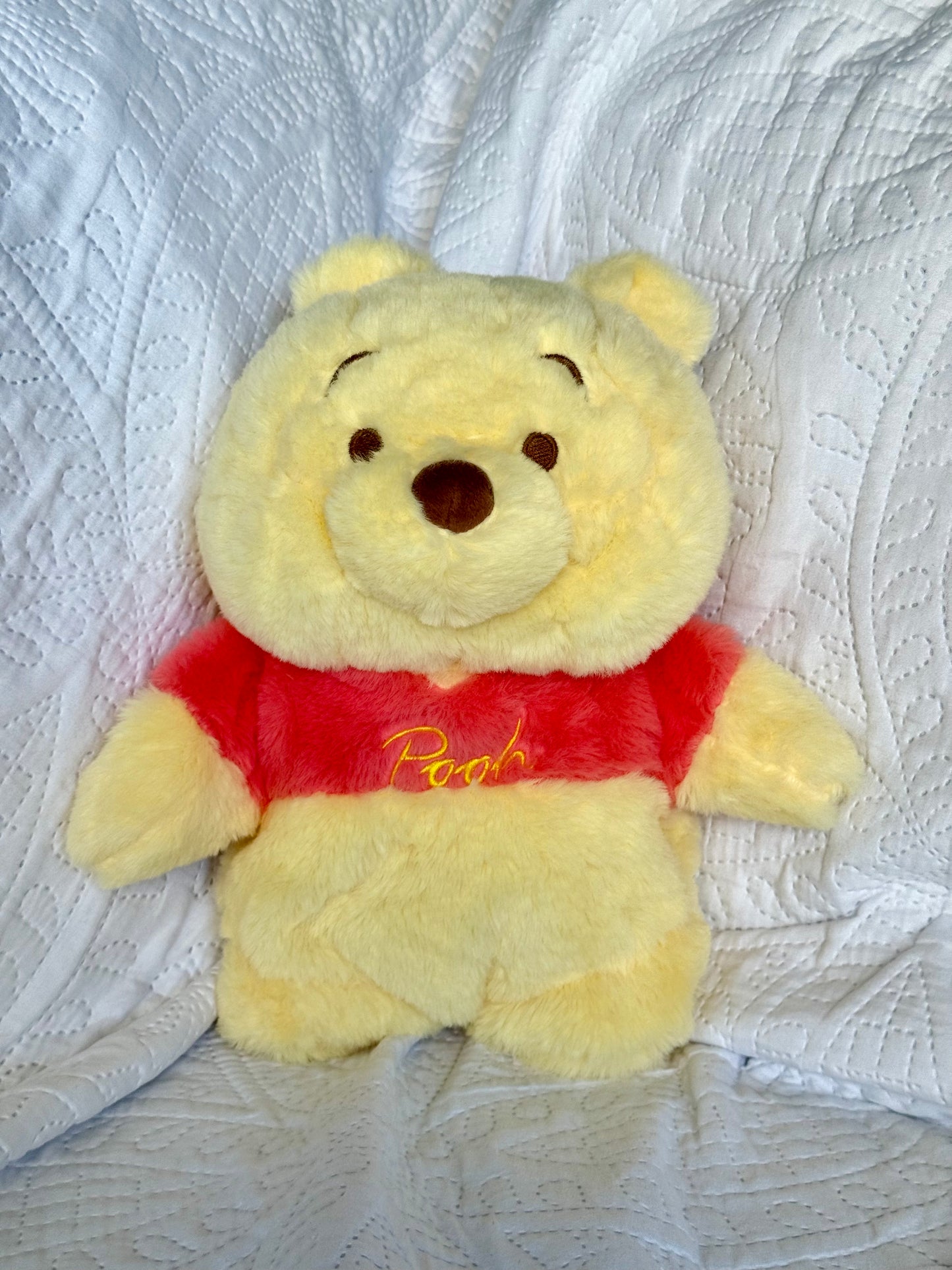 Warmty Plush - Winnie The Pooh